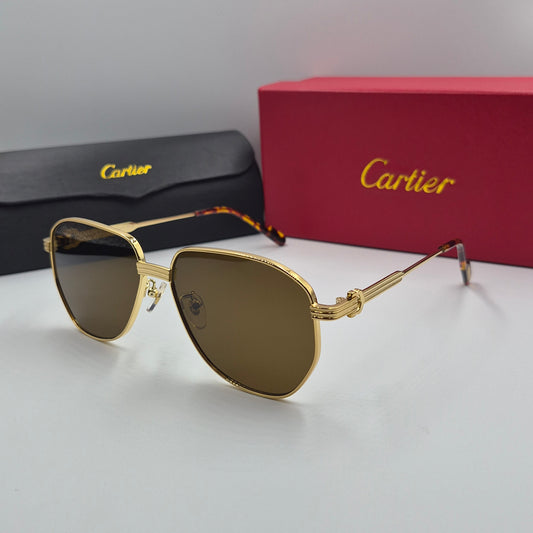 Solaires: CARTIER CT0484O doré marron