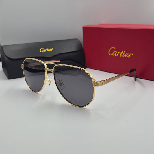 Solaires: CARTIER SANTOS CT0461S doré noir