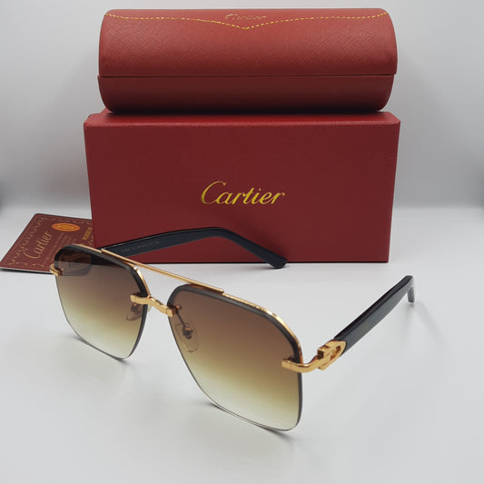 Solaires: CARTIER CT0276S noir marron dégradé
