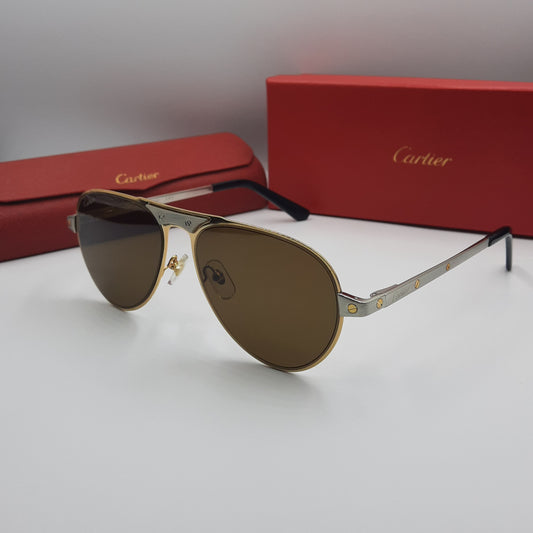 Solaires: CARTIER SANTOS CT0533S argenté doré marron